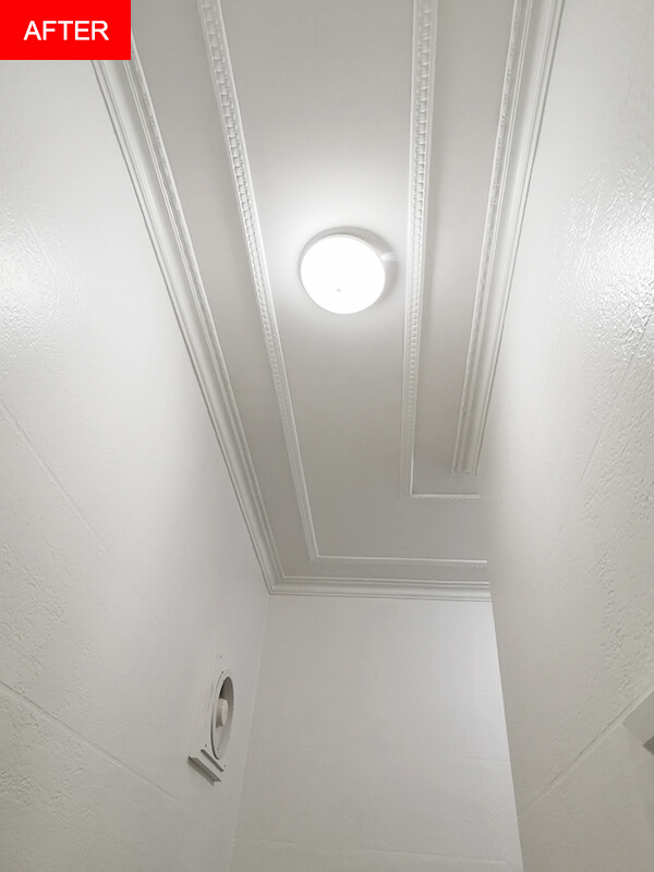 Supahandy-mold-ceiling-Bellevue-Hill-after