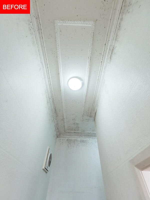 Supahandy-mold-ceiling-Bellevue-Hill-before