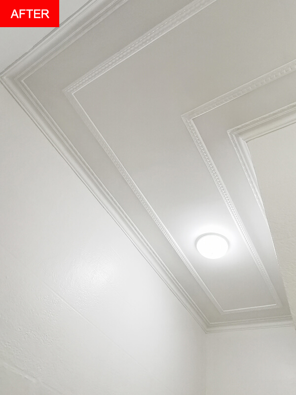 Supahandy-mold-ceiling-wall-Bellevue-Hill-after