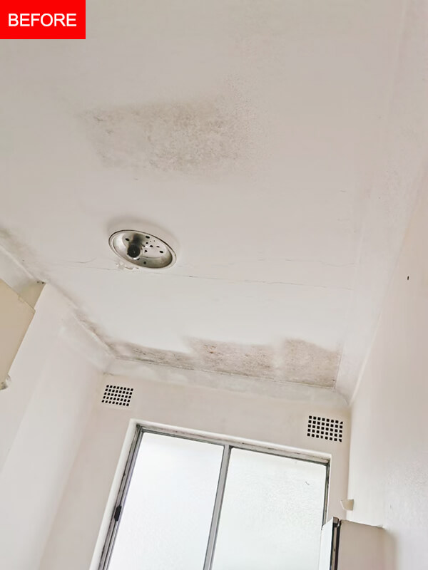 painting-ceiling-mold-Wiley-Park-before