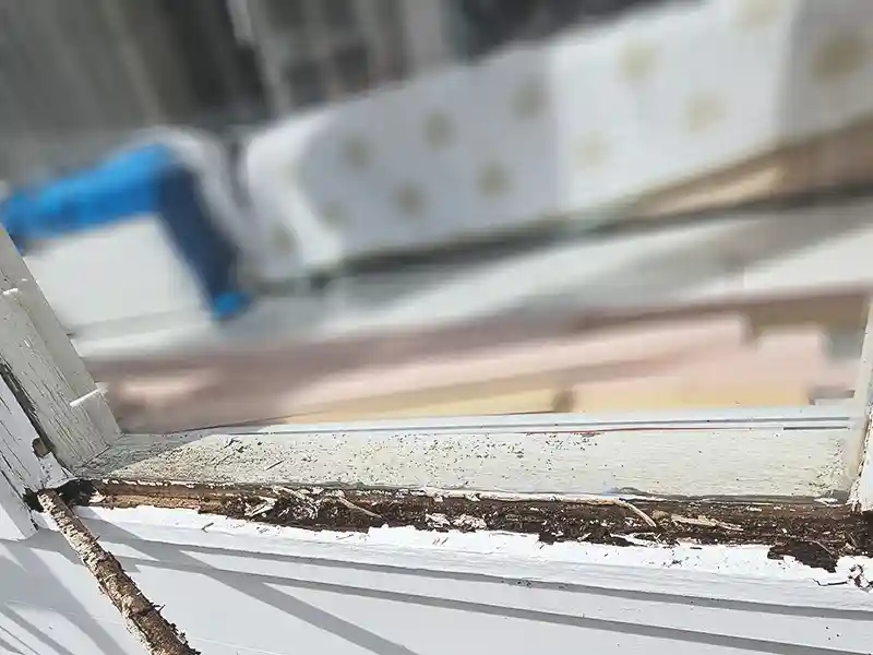 Rotted Window Frame Features