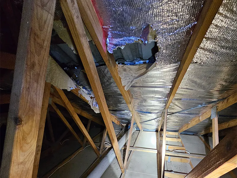 roof sarking feature image
